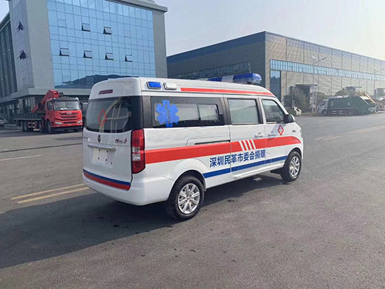 國六金杯海獅救護車